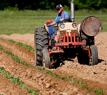 A Foolproof Guide for Picking Great Produce—Every Time​